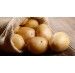 Czas na wykopki – kiedy zbierać ziemniaki?