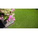 Zakładanie trawnika – kiedy i jak założyć trawnik? Instrukcja krok po kroku