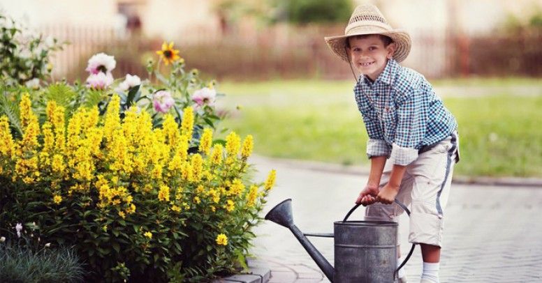 Bezpieczne dziecko w ogrodzie - Inspiracje i porady