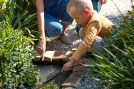Jak zapobiegać suszy? Podpowiadamy, co możesz zrobić, by pomóc naturze