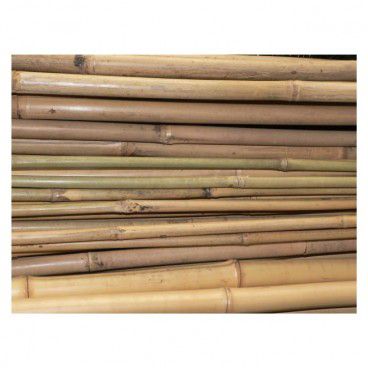 Bambus 90 cm fi 6-8 mm