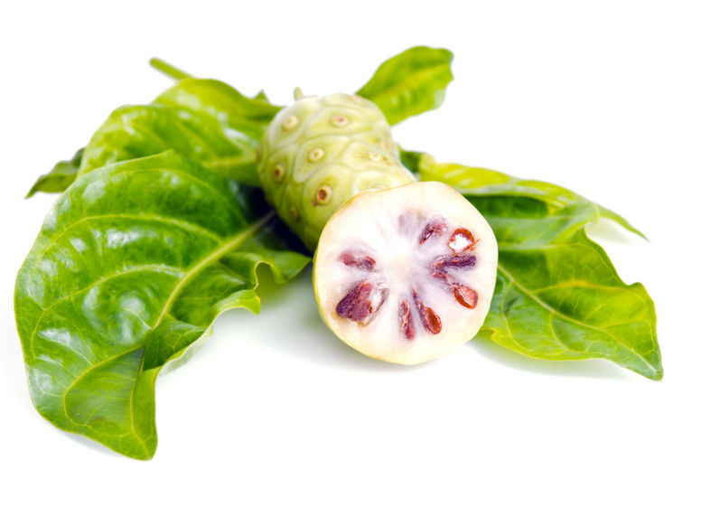 Noni - morwa indyjska