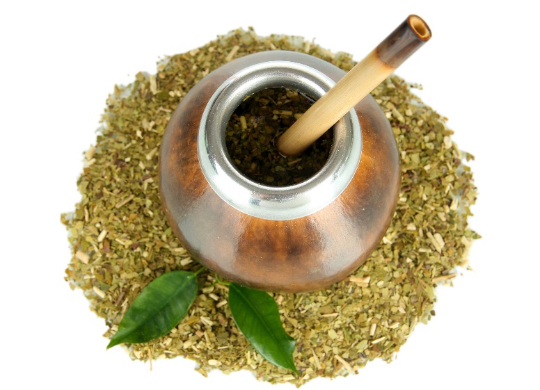 Yerba mate - ostrokrzew paragwajski