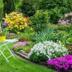 romantyczny ogród