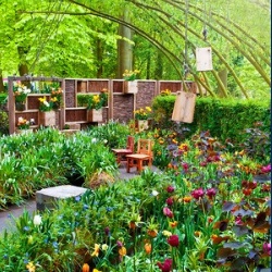 holenderski ogród