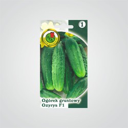 Nasiona ogórek gruntowy Ozyrys 2 g